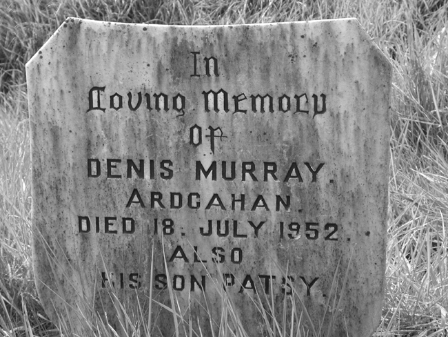 Murray, Denis and Patsy, Ardcahan.jpg 223.6K